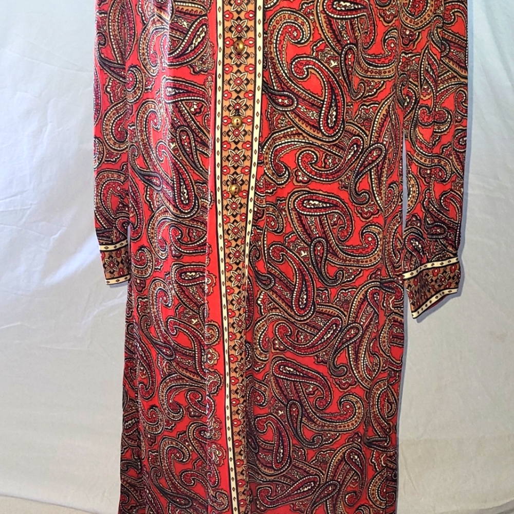 Vtg Amy Adam's 70's paisley dress